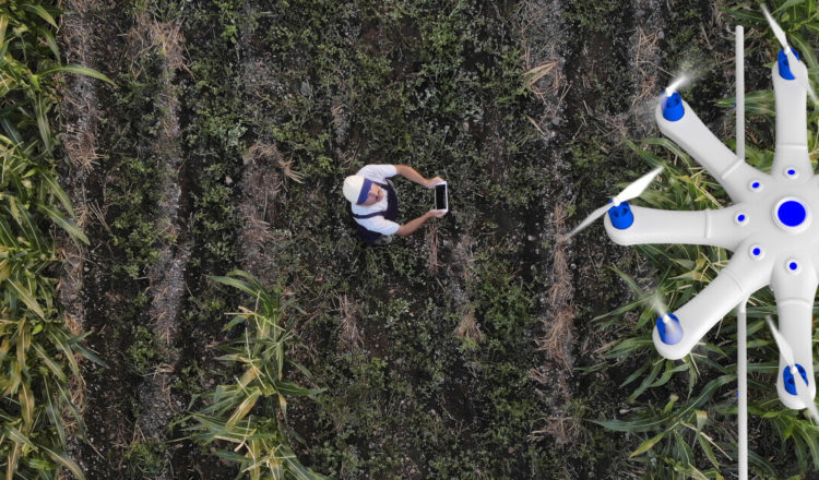 innovation agricole au service de l environnement